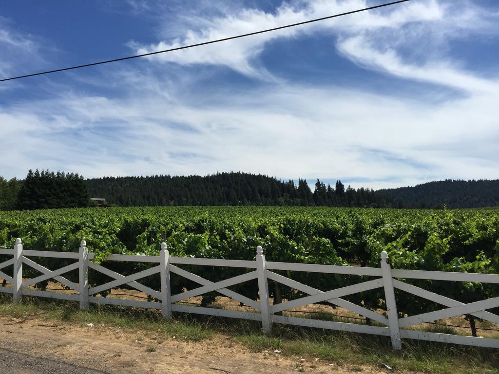 Mendocino Inn & Spa Little River Экстерьер фото